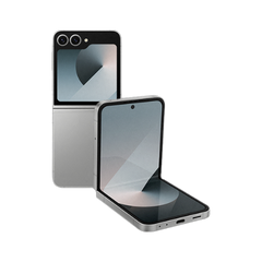 Flip 6